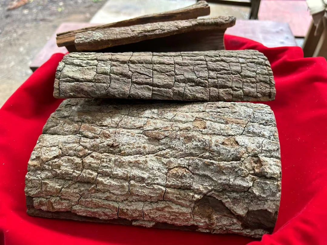 【卡-娦-垯-樹-怶】净含量250g-1000g【阿婷现收】 非菇类