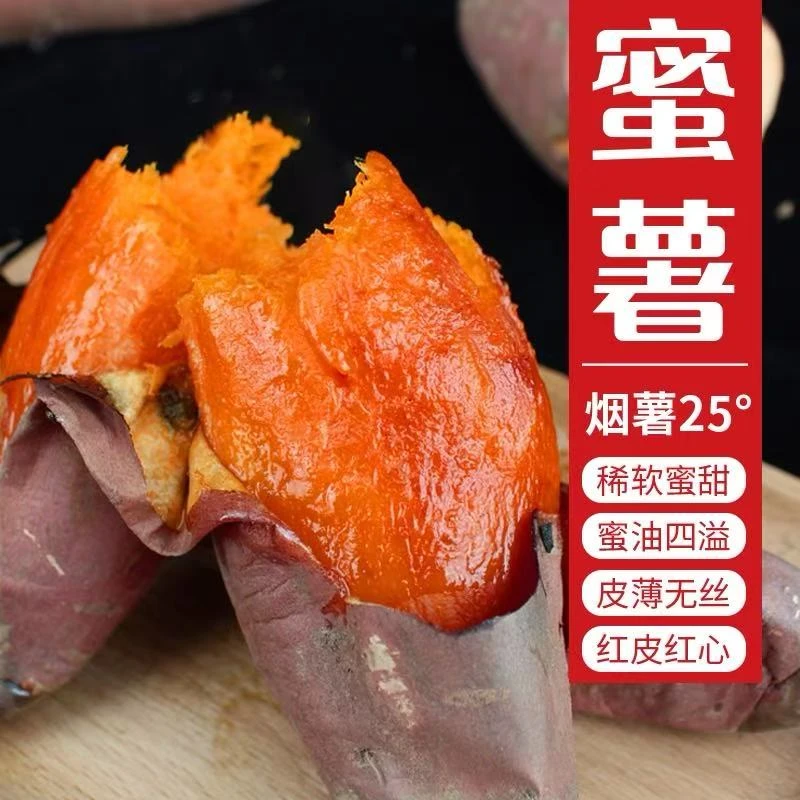 山东烟薯25号正宗烤薯店地瓜新鲜农家自种5蜜薯沙地番薯糖心流油