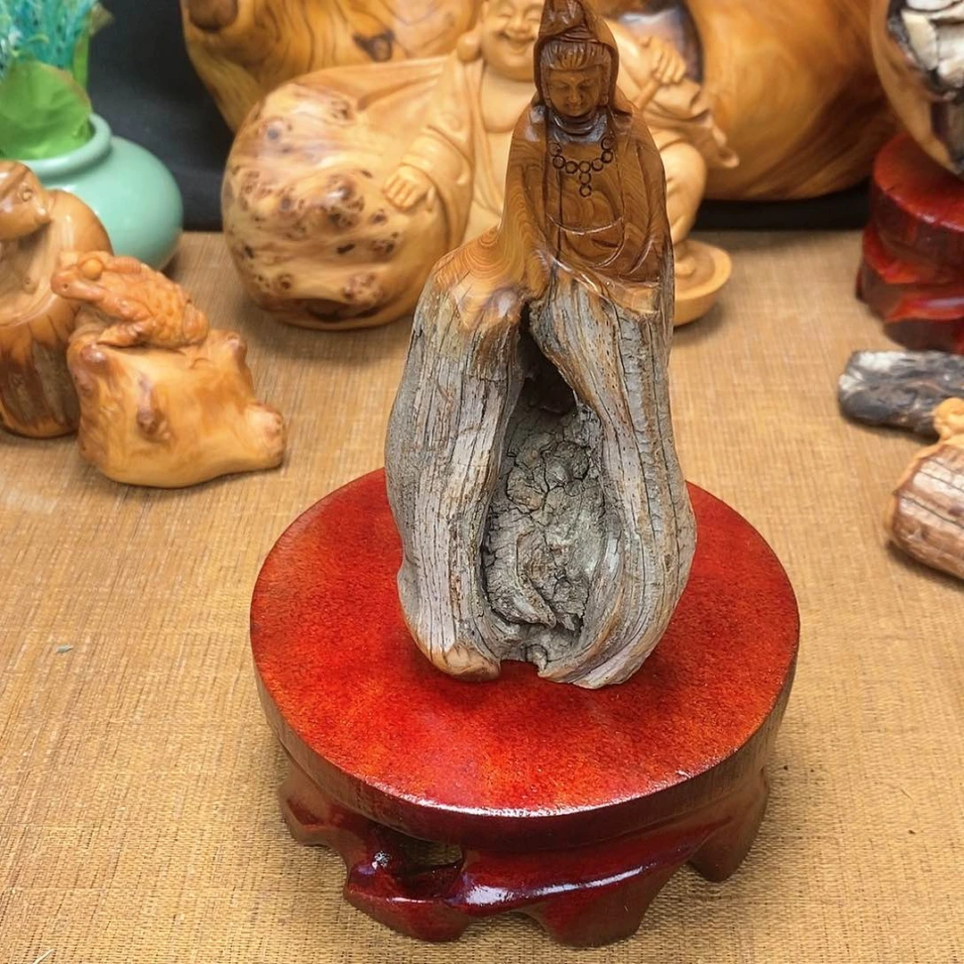 柏木（崖柏）一物一图