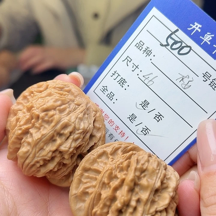 文玩核桃吊坠核桃树500