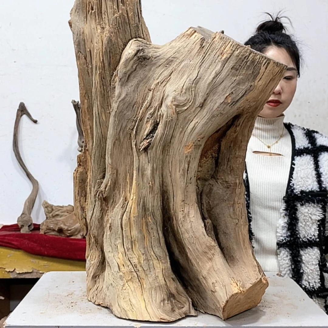 【闪购商品】柏木东*我们都是好孩子