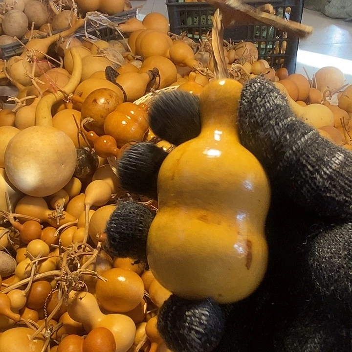 冰**梨不退不换不保龙头通货微瑕完美主义者勿拍