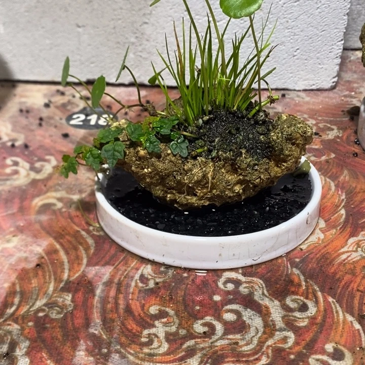晗***澜完全开放退款拉黑一物一拍360