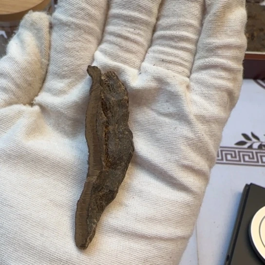 沉香摆件海南尖峰岭包头2.7克