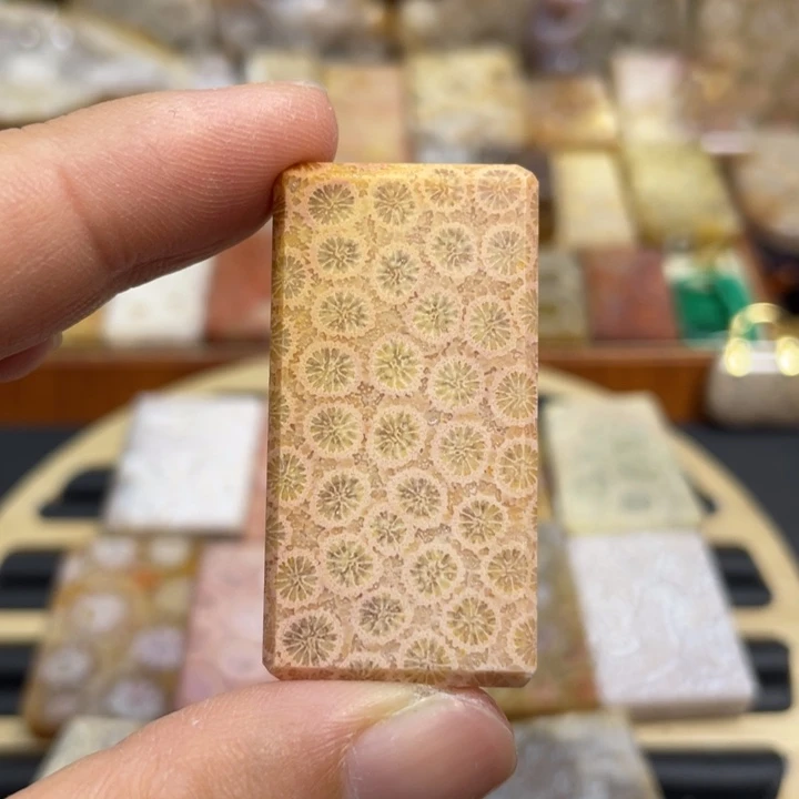 硅化玉未镶嵌颈饰k87