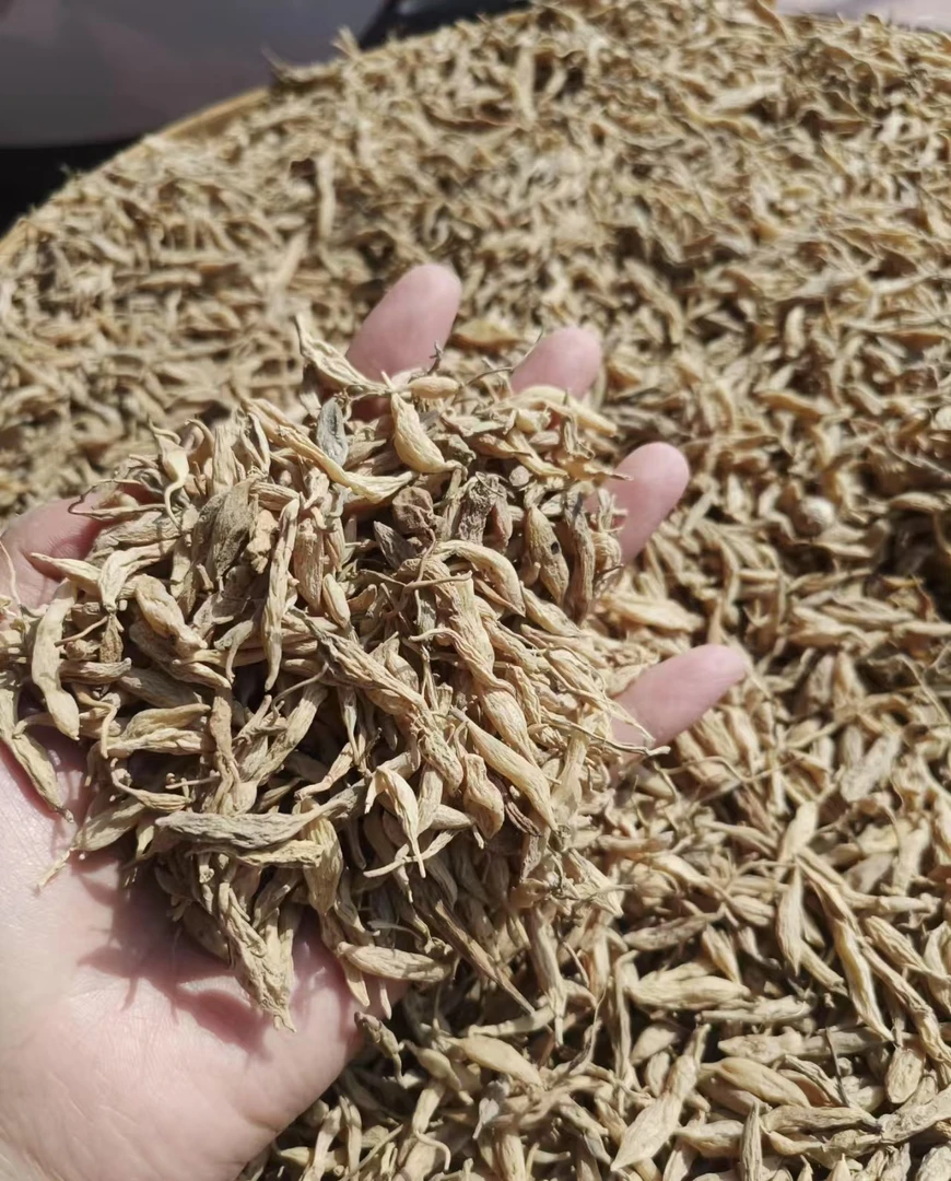 现收土特产野麦冬----可泡水煲汤