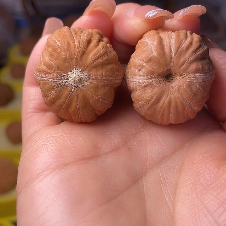 文玩核桃吊坠树皮纹