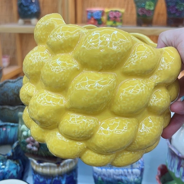 多肉植物陶瓷花盆