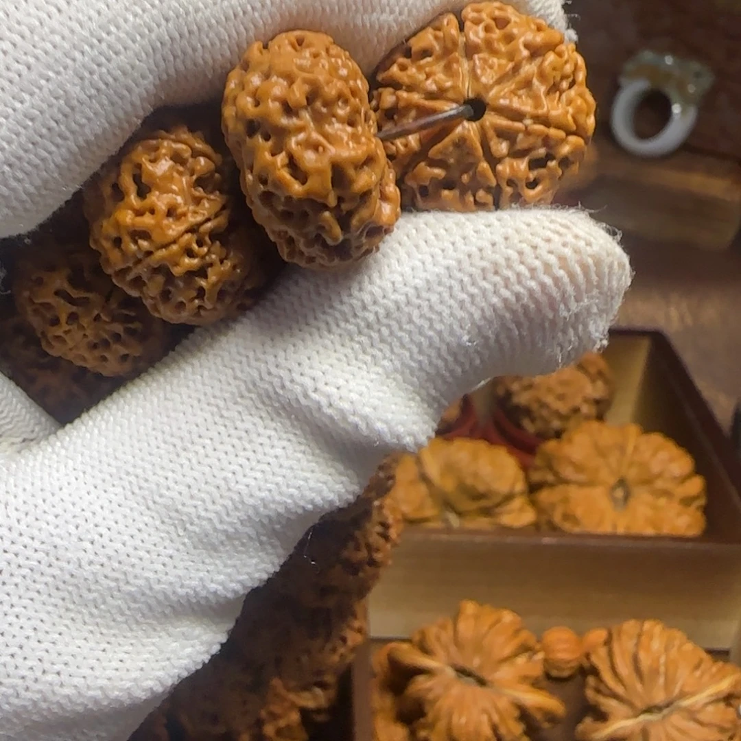 文玩核桃把件6瓣大金刚菩提