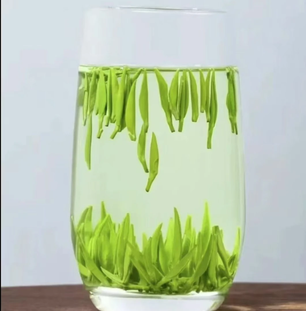 2025年明前头春头采竹溪箭茶