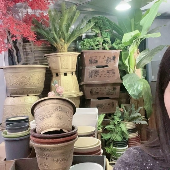 复合盆景88986456