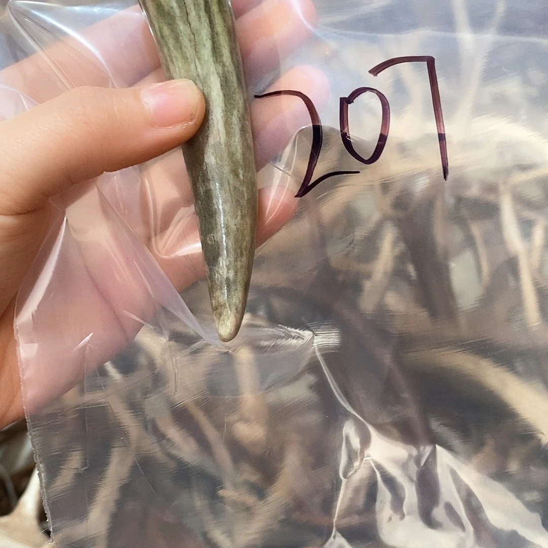 鹿角鹿角鹿角鹿面鹿角