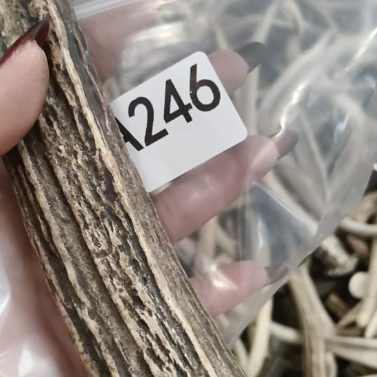 *****鹿角鹿角鹿角鹿角