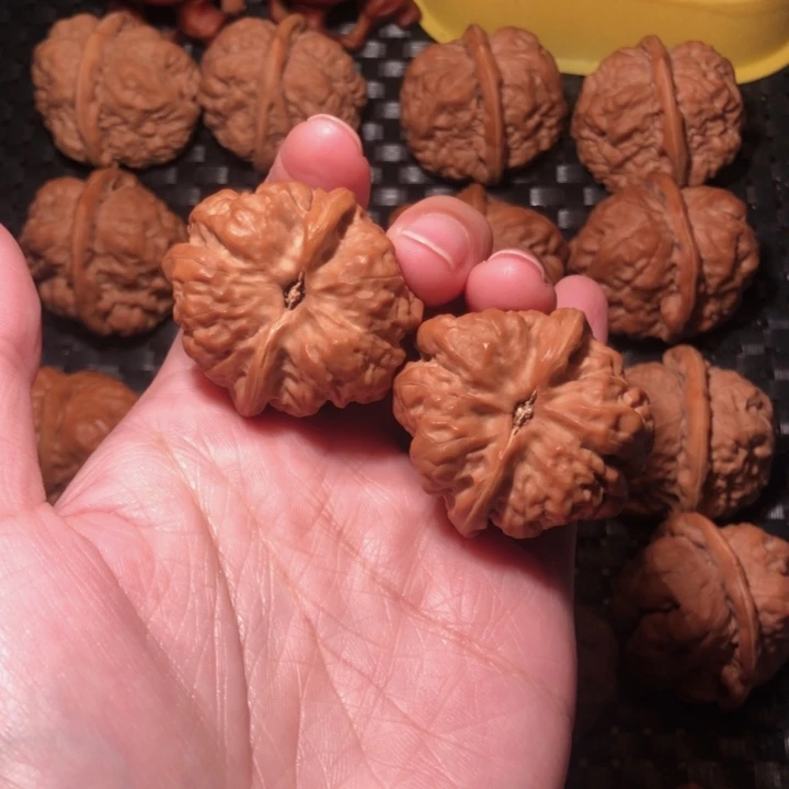 星***灵文玩核桃把件蛤蟆