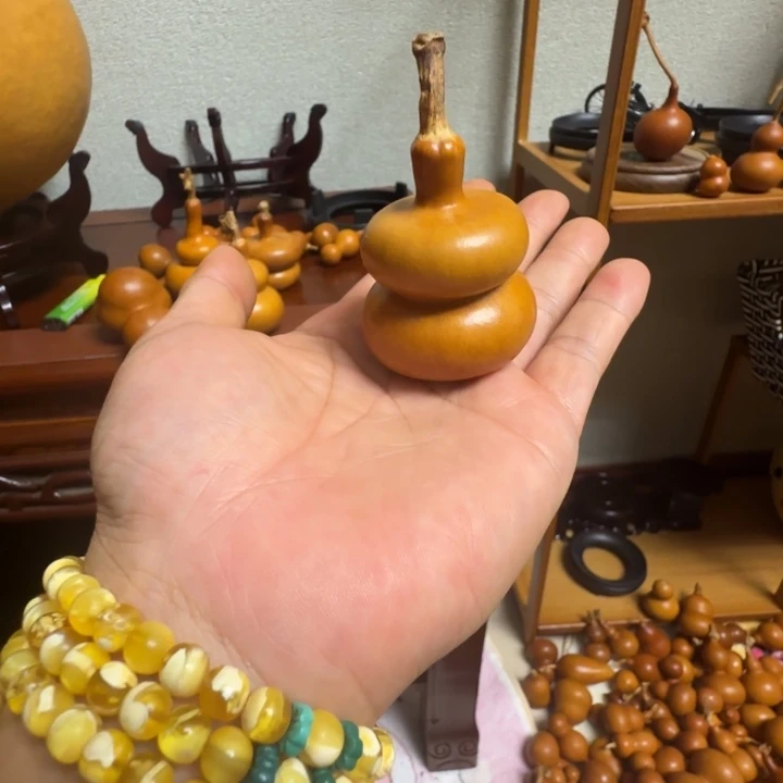 小****精品课程的教学和科研工作