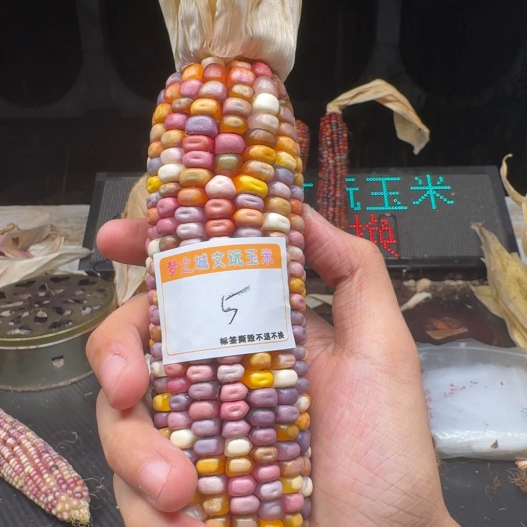 妞***吊坠柏香籽/百香籽
