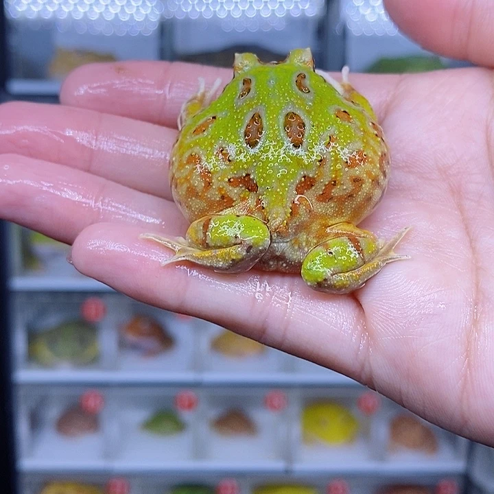 特价秒杀现货特价