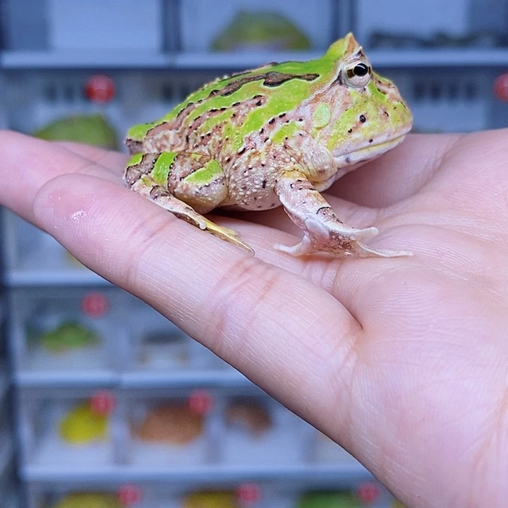 特价促销价格优惠