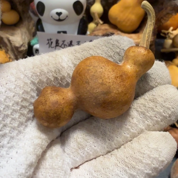 普***r766667777778888889