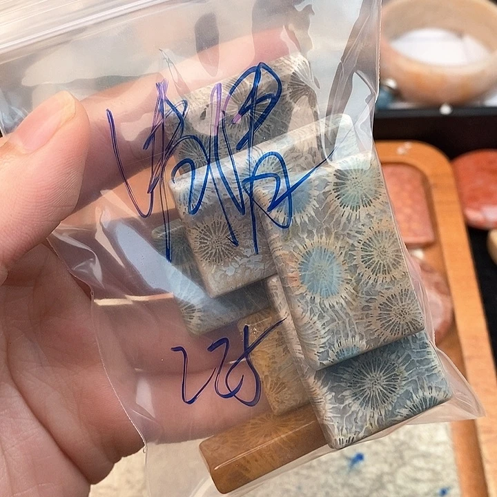 硅化玉颈饰未镶嵌清*