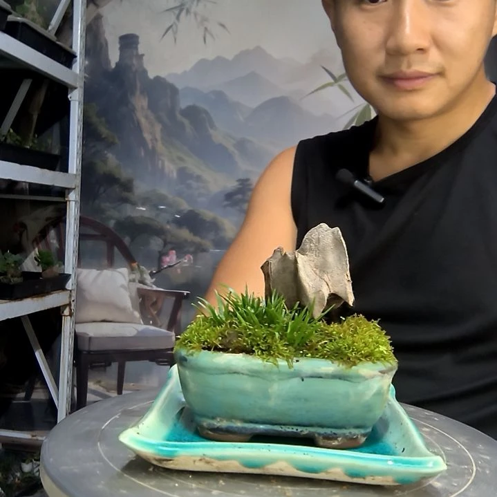 狮*?中青园艺一物一拍269