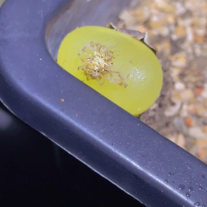 70088898998888898888888