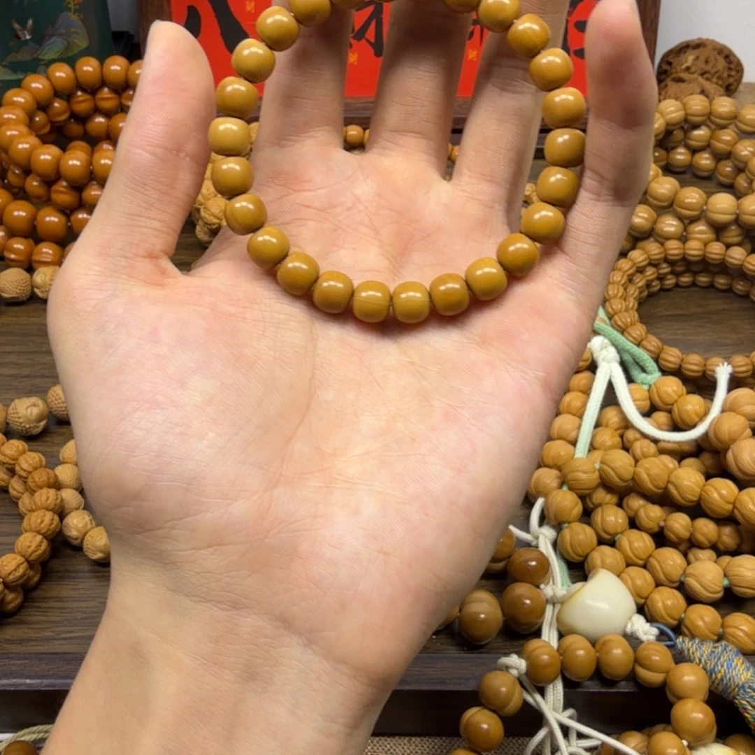 核桃猴头老型全品八+