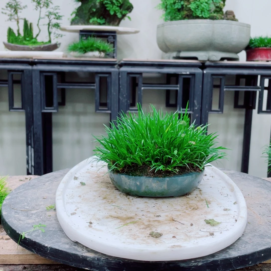 无铅玻璃阅****豆