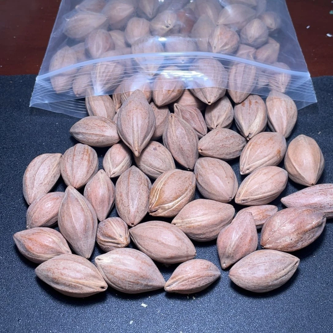 田***宇手串/手链橄榄核不退不换