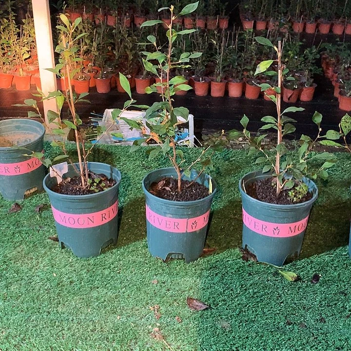 完全开放独孤天下88.88