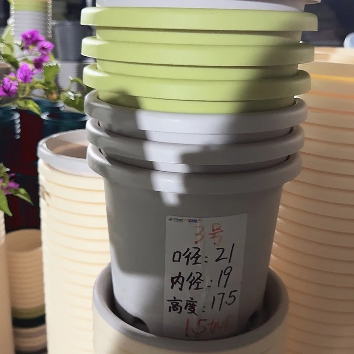 四季3号灰白无托10个特价微瑕