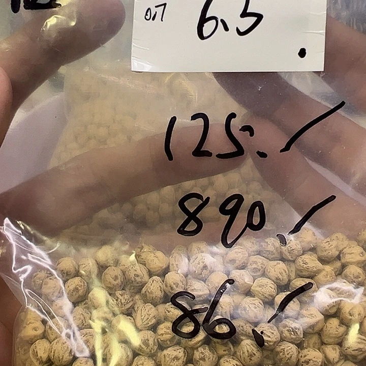 富***太吊坠柏香籽/百香籽