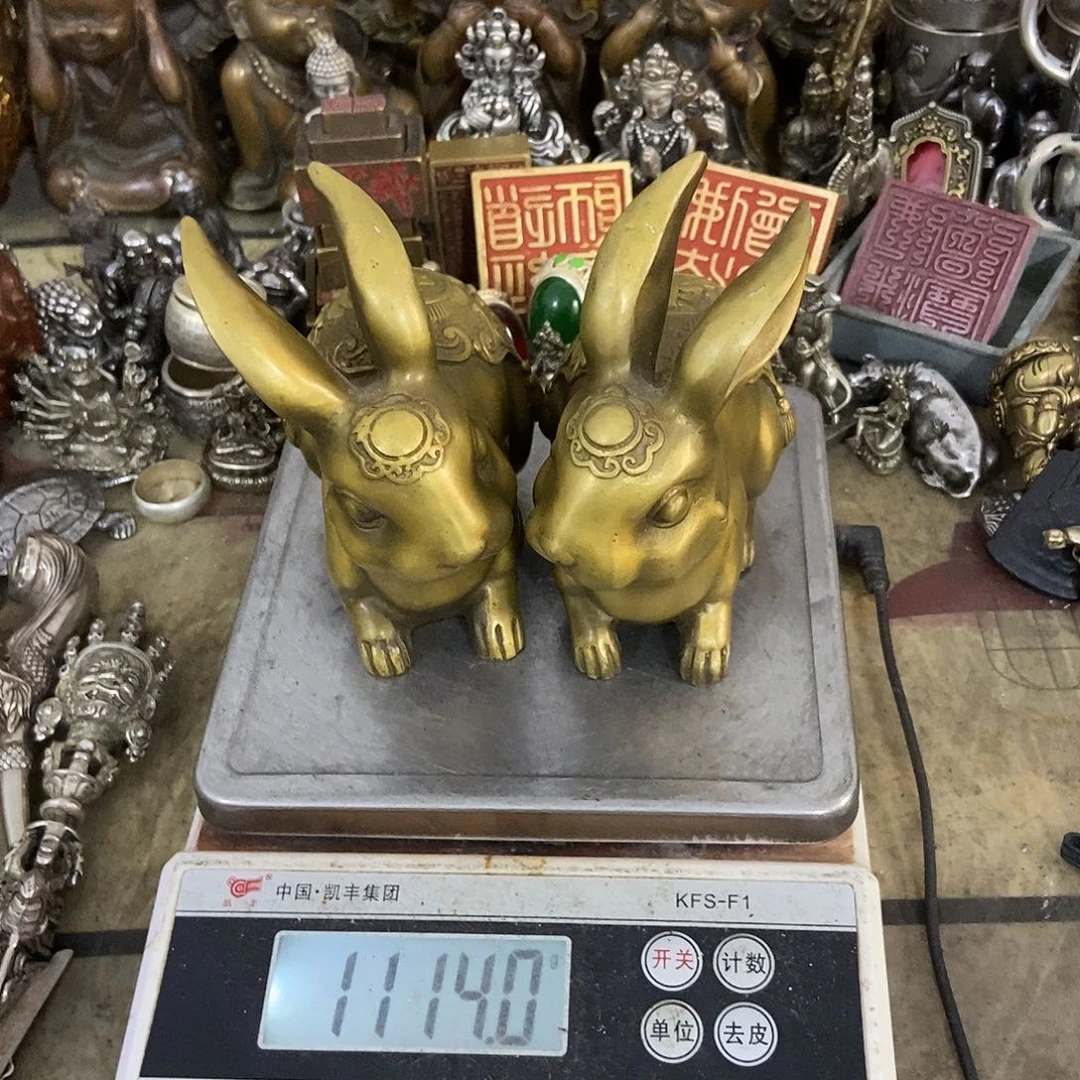 改天白菜百见北见北见北见
