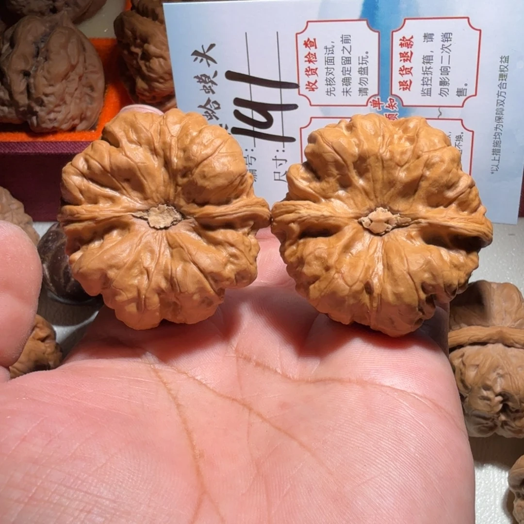 金***陈文玩核桃把件文玩45