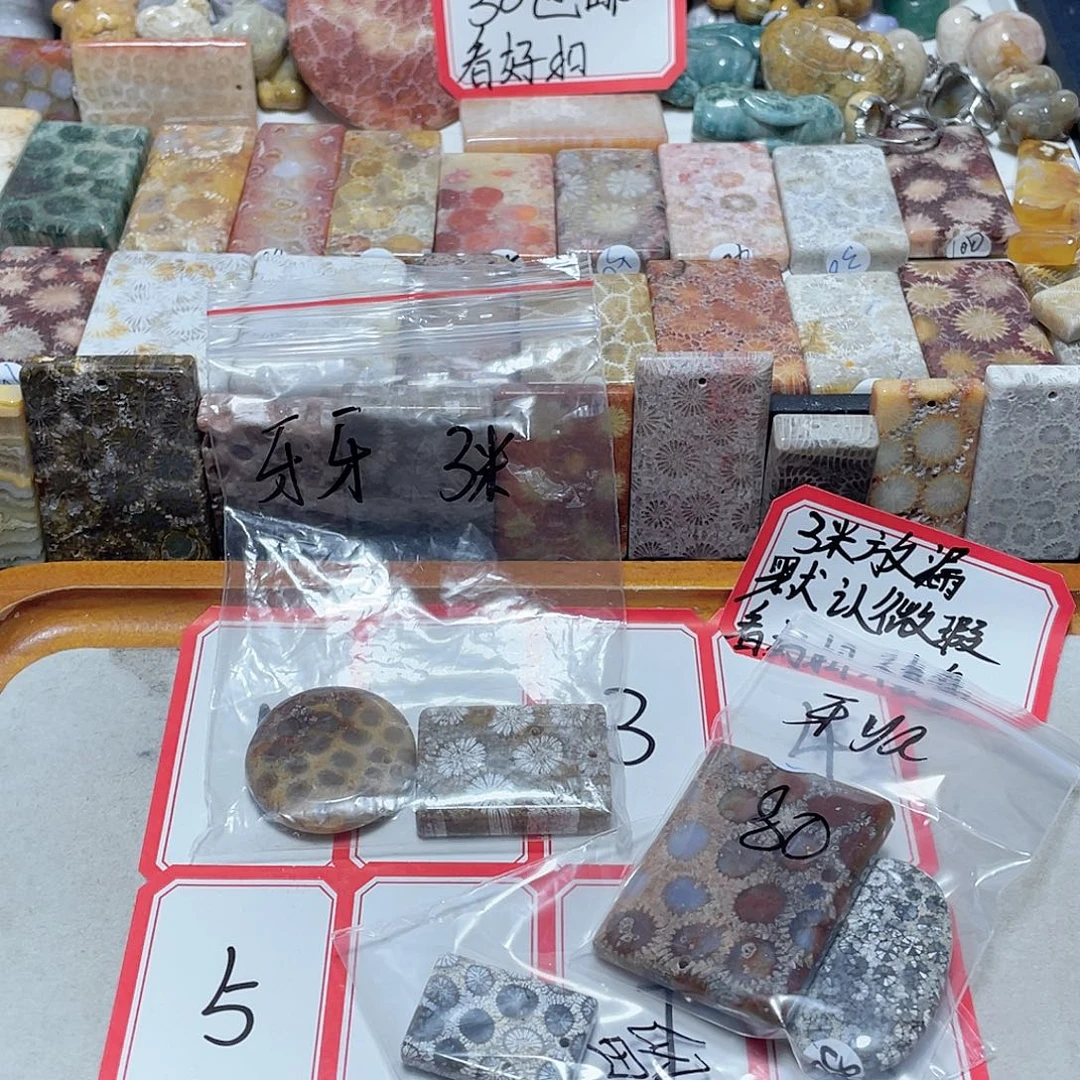 牙****硅化珊瑚（珊瑚玉）合金颈饰