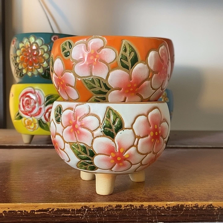 韩式多肉植物花盆