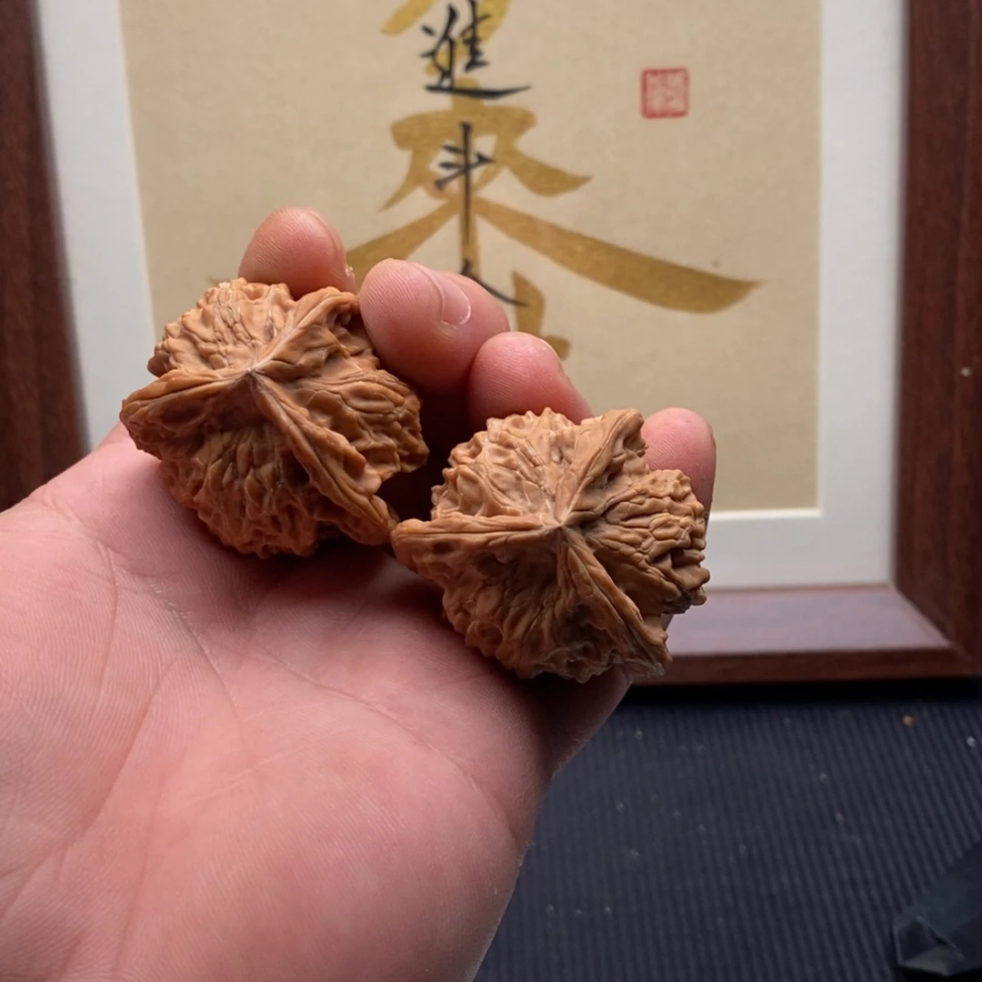 核桃哈哈哈哈哈哈哈哈哈哈哈