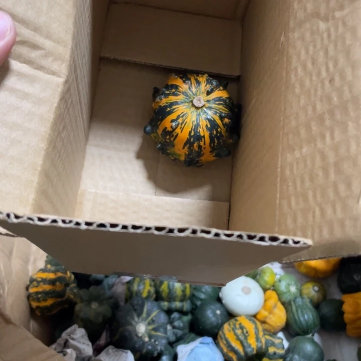 f***?66666666666666666666