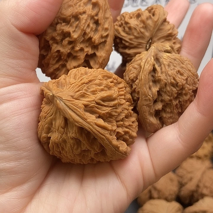 n****大大大大大大南疆黄金甲