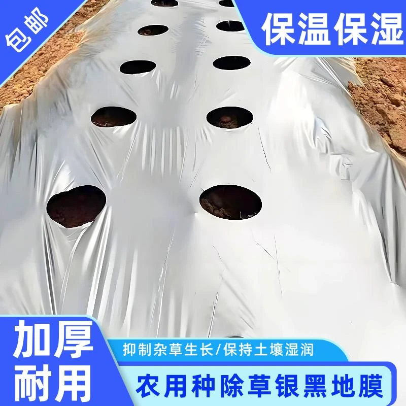 农用带孔打孔银黑地膜防草种菜种植辣椒大蒜药材红薯地膜农用薄膜