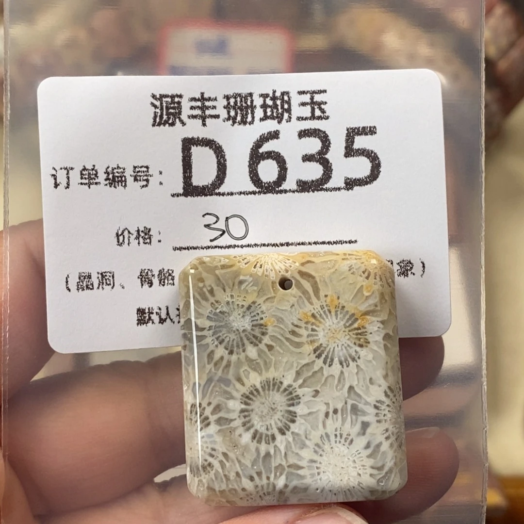 夏***铭硅化玉未镶嵌颈饰