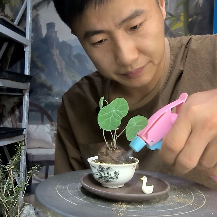 吃****哥中青园艺一物一拍160
