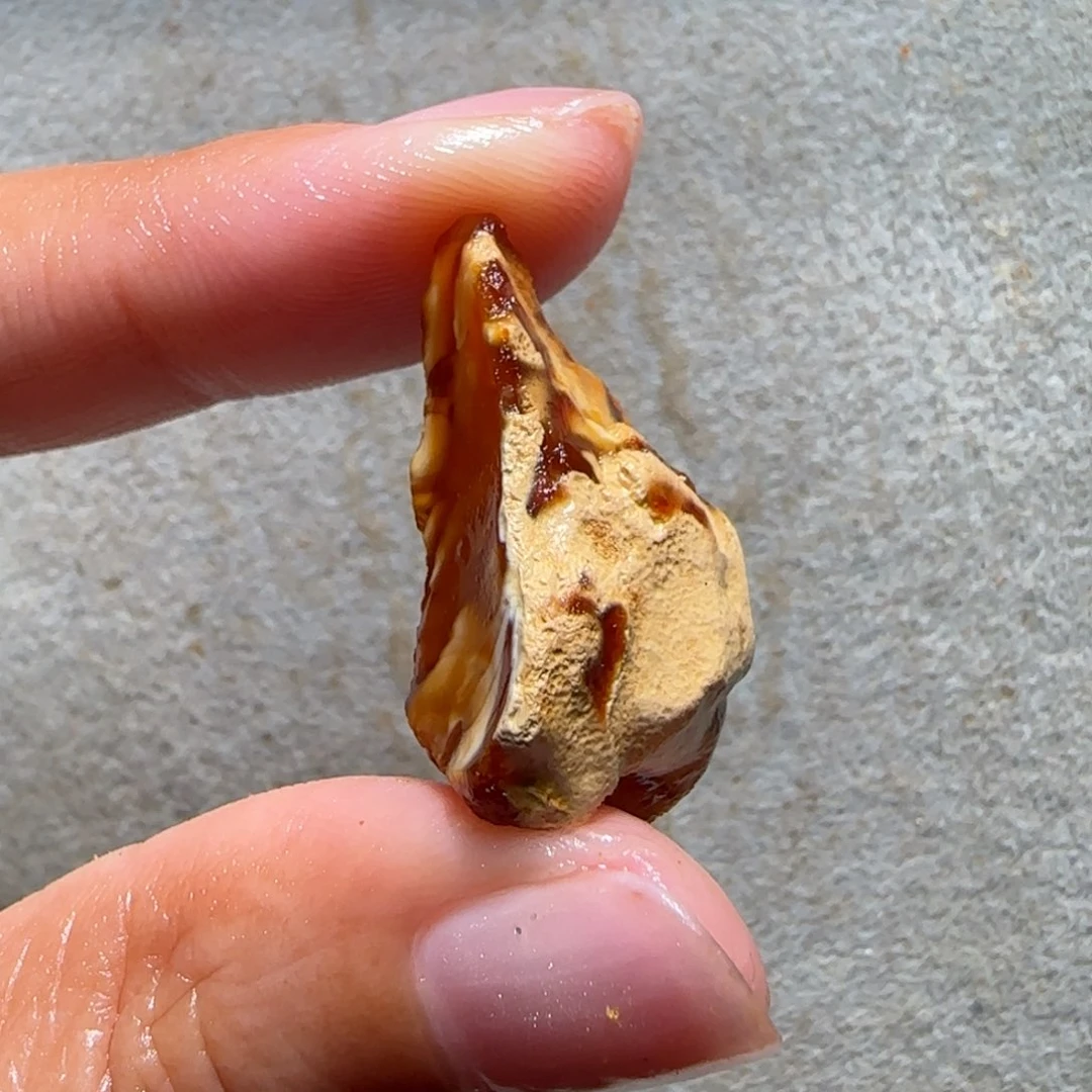 裸石琥珀未镶嵌闲**鱼专拍