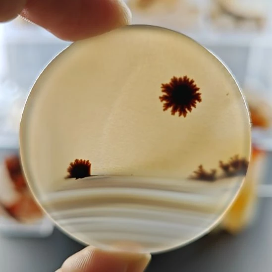 玛瑙/玉髓未镶嵌吊坠(不含链)81号