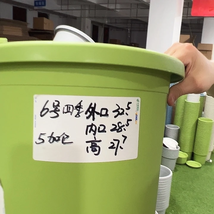 特价6号口32.5高28果绿无托5只