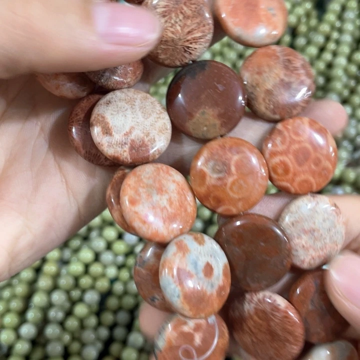 登***宝贝壳非金属2条打包菊花圆片