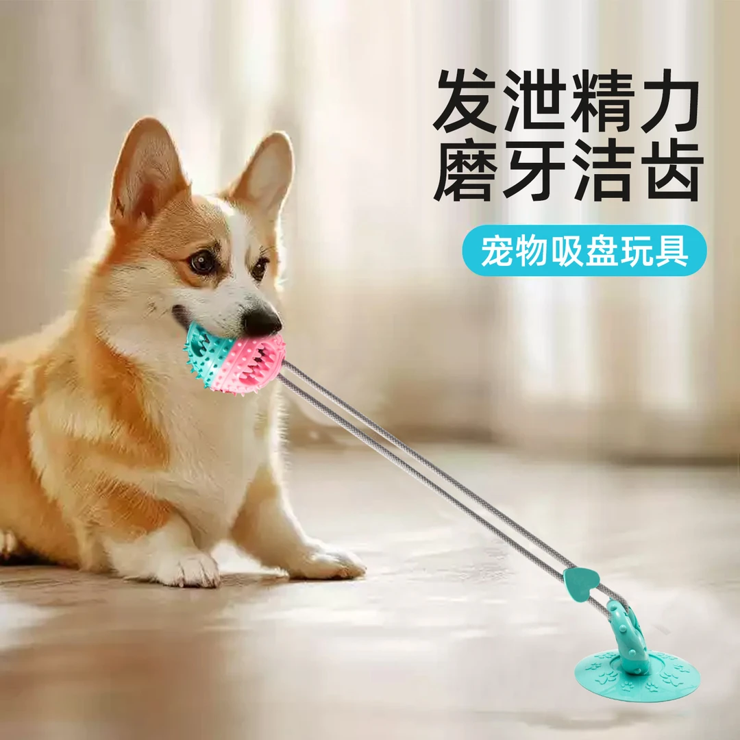 狗狗玩具吸盘耐咬漏食球磨牙解闷自嗨神器消耗体力宠物用品