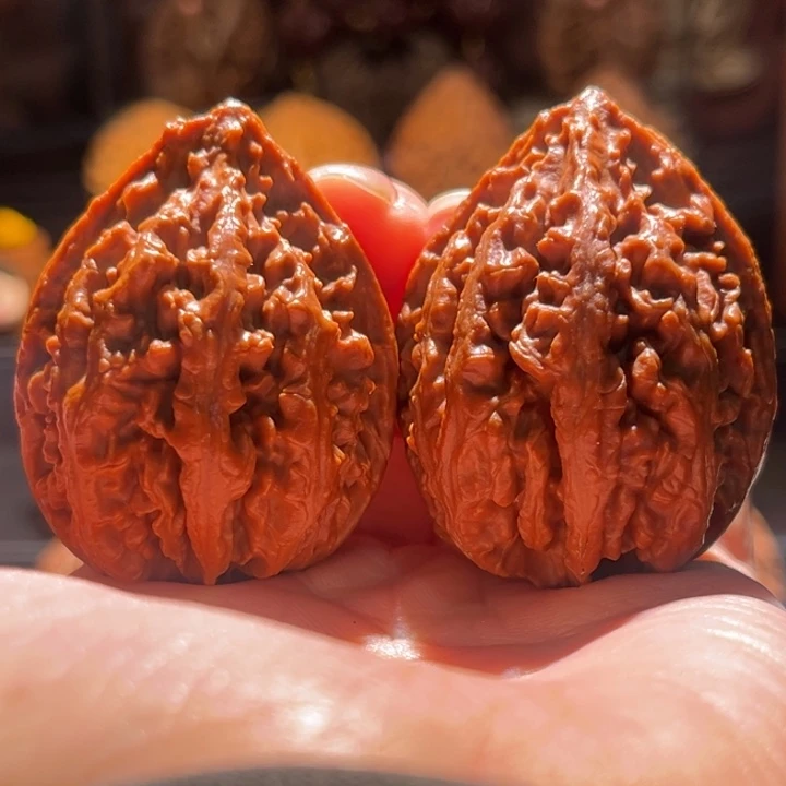 吊坠文玩核桃方底珊瑚87