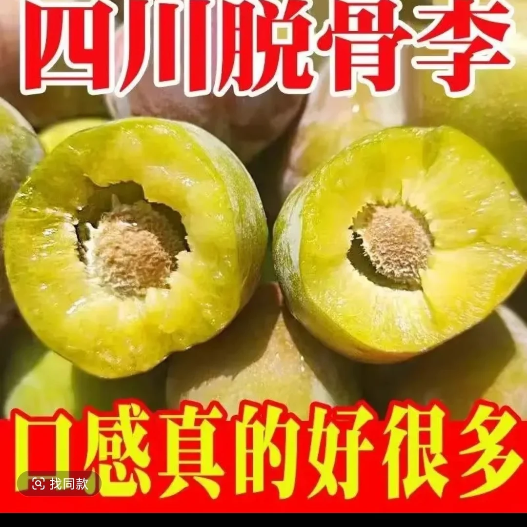 四川高山脱骨半边红脆李新鲜采摘现摘现发应季酸甜多汁水果