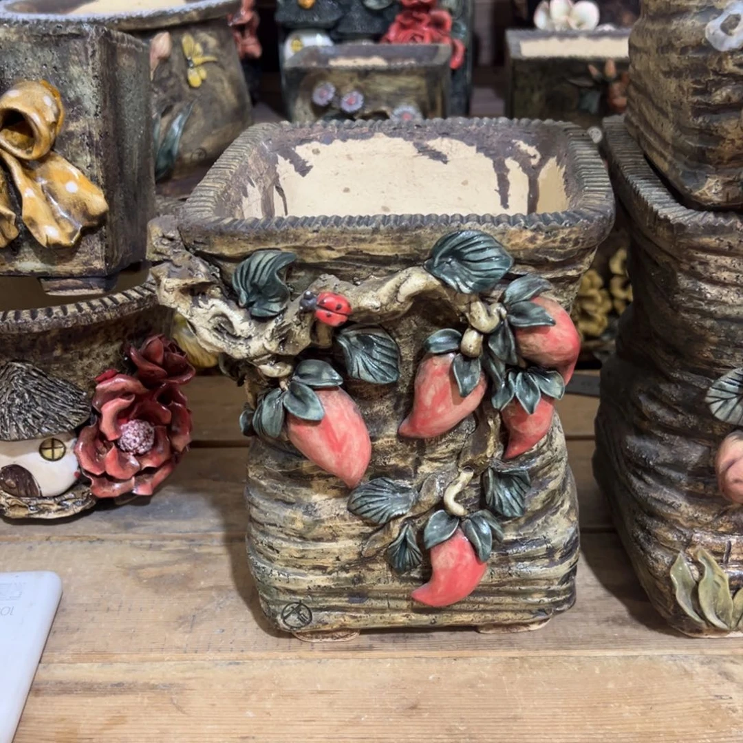 红陶?*宝青藤多肉花盆